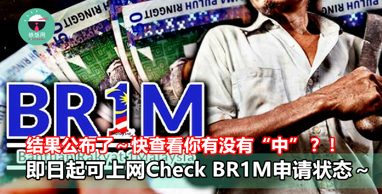 How To Check Br1m 2019 Status - Gumpang Baru x