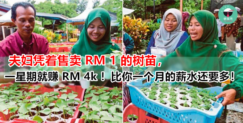 大马夫妇凭着售卖 RM 1 的树苗，竟然在一星期内就赚取 RM 4 000 的利润！
