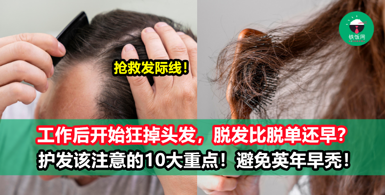 【年轻人你秃了吗？】工作后一直掉发怎么办？10个重点教你如何正确护理头发，抢救发际线不能等！