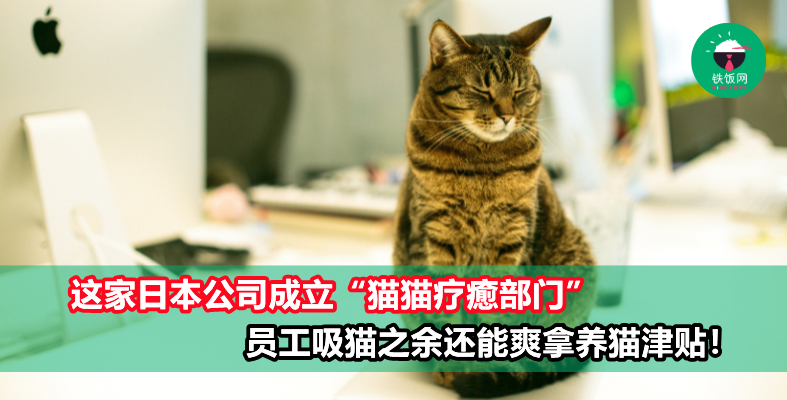 边工作边吸猫有多爽？这家日本公司成立“猫猫疗癒部门”，员工吸猫之余还能爽拿RM165养猫津贴！