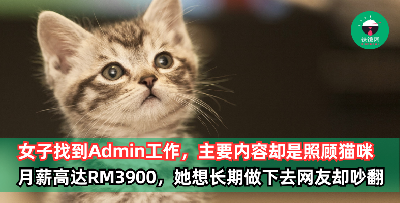女子找到一份 Admin 工作，主要是负责给老板的猫当保姆！月薪高达RM3,900，她想长期做下去网友却吵翻了！