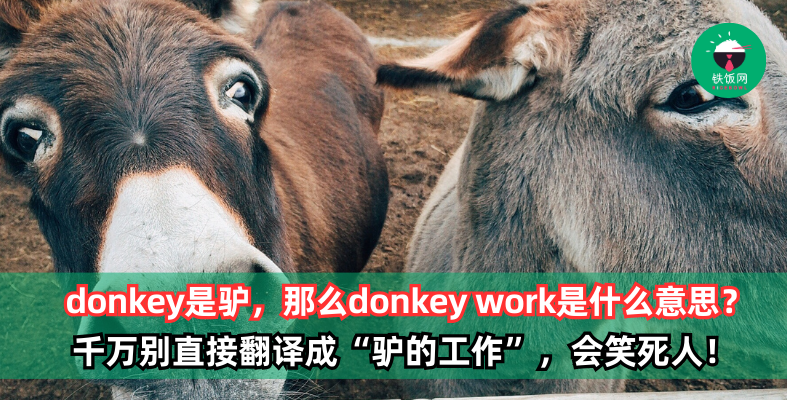 donkey是驴，那么donkey work是什么意思？驴的工作？千万别这样直接翻译，会笑死人！